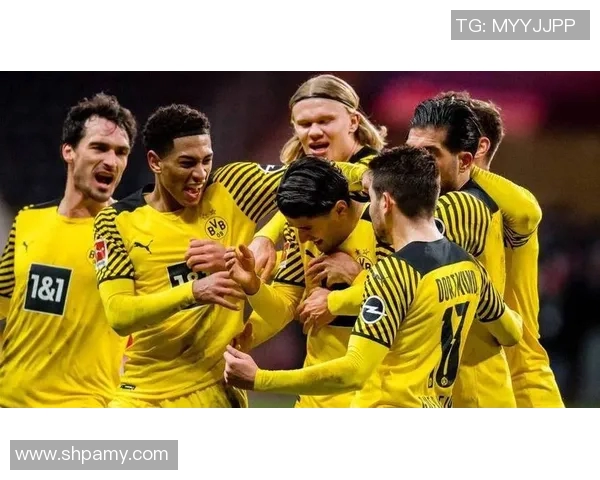 多特蒙德险胜霍芬海姆,上演惊险德甲大战 多特蒙德险胜霍芬海姆,上演惊险德甲大战