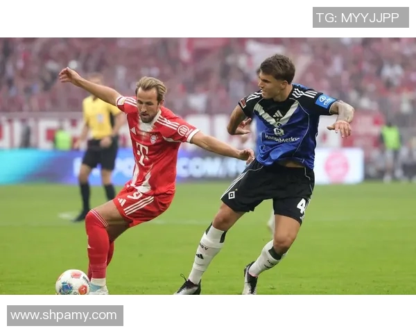 汉堡主场大胜燃起保级希望