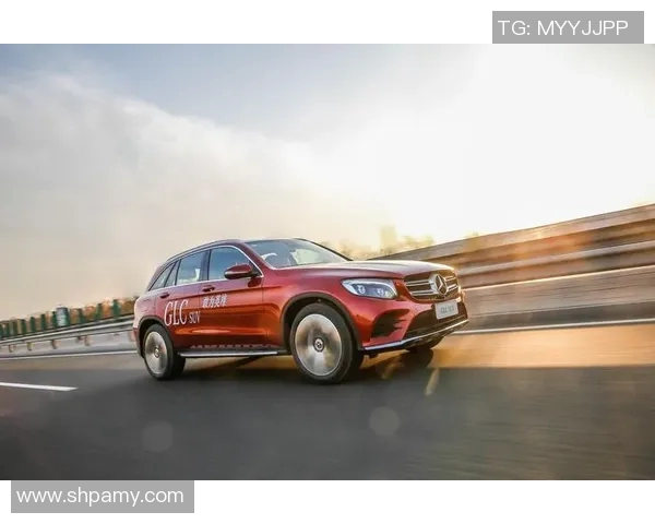 莫比莱发布新一季度业绩报告，收入创新高劲增长