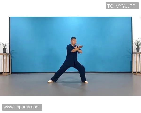 太极老架的深厚内涵与修炼技巧探讨之旅