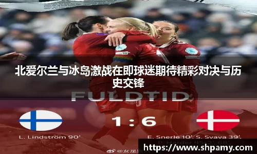 北爱尔兰与冰岛激战在即球迷期待精彩对决与历史交锋